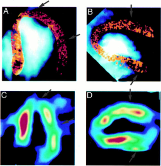 Figure 2  