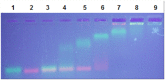 Fig 9