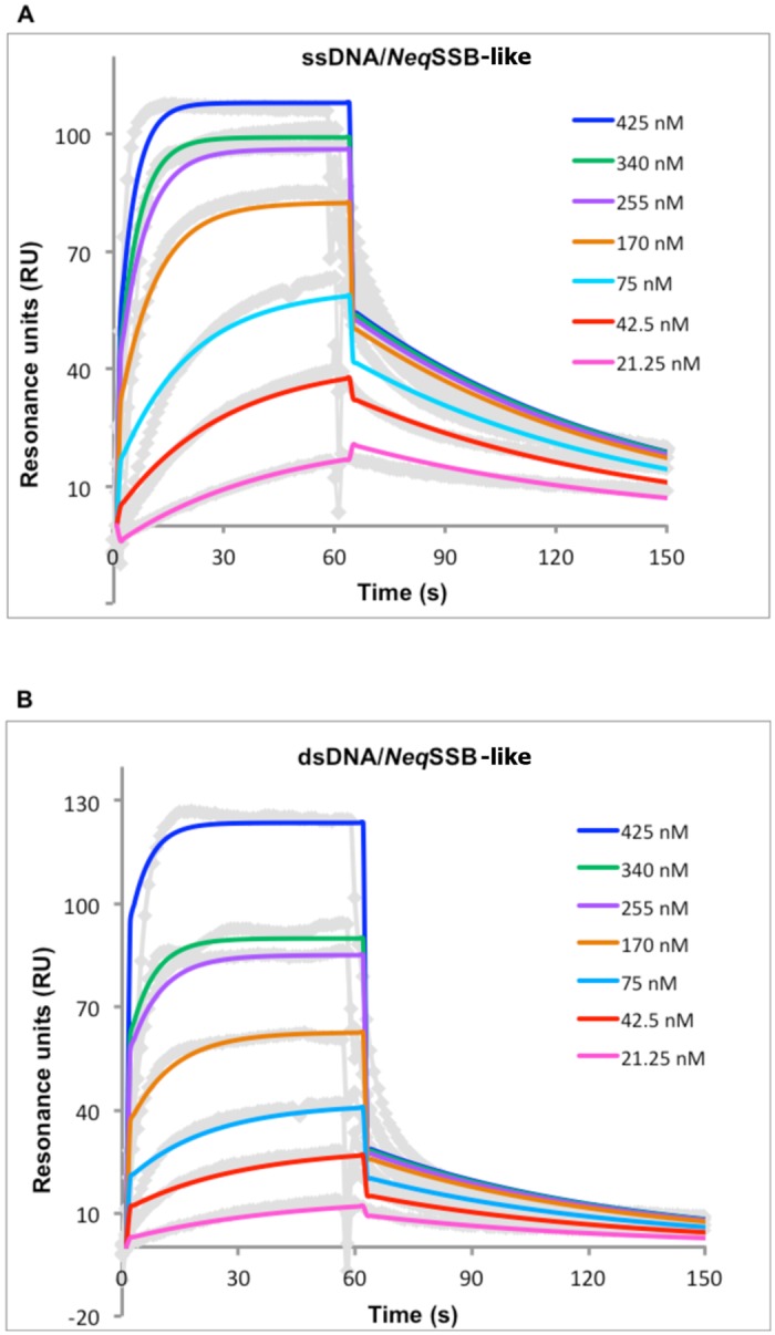 Fig 10