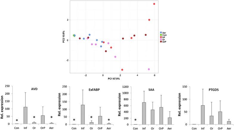 Figure 6