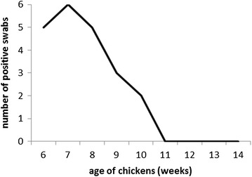 Figure 3