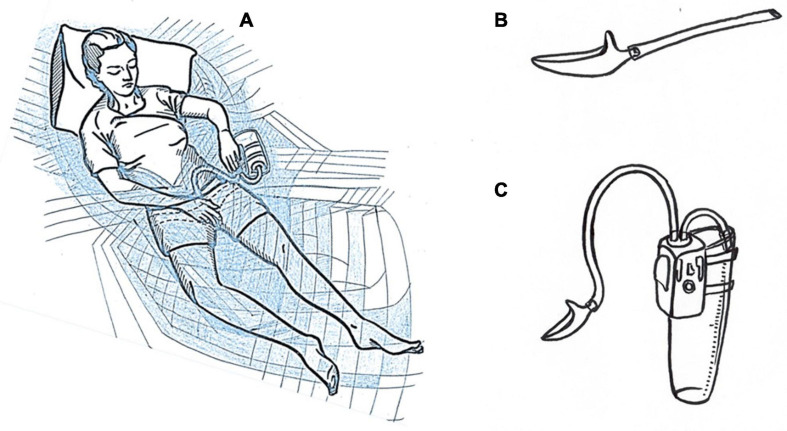 FIGURE 2