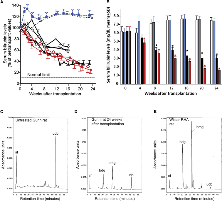 Figure 4