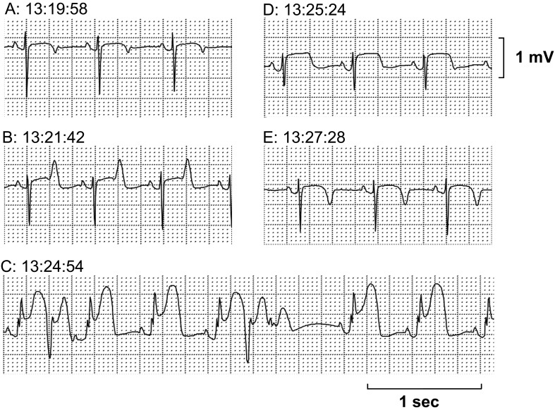 Fig. 2.