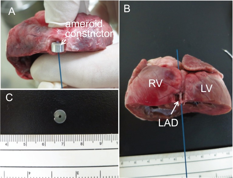 Fig. 4.