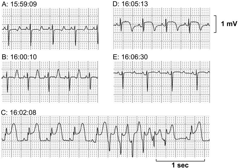 Fig. 3.