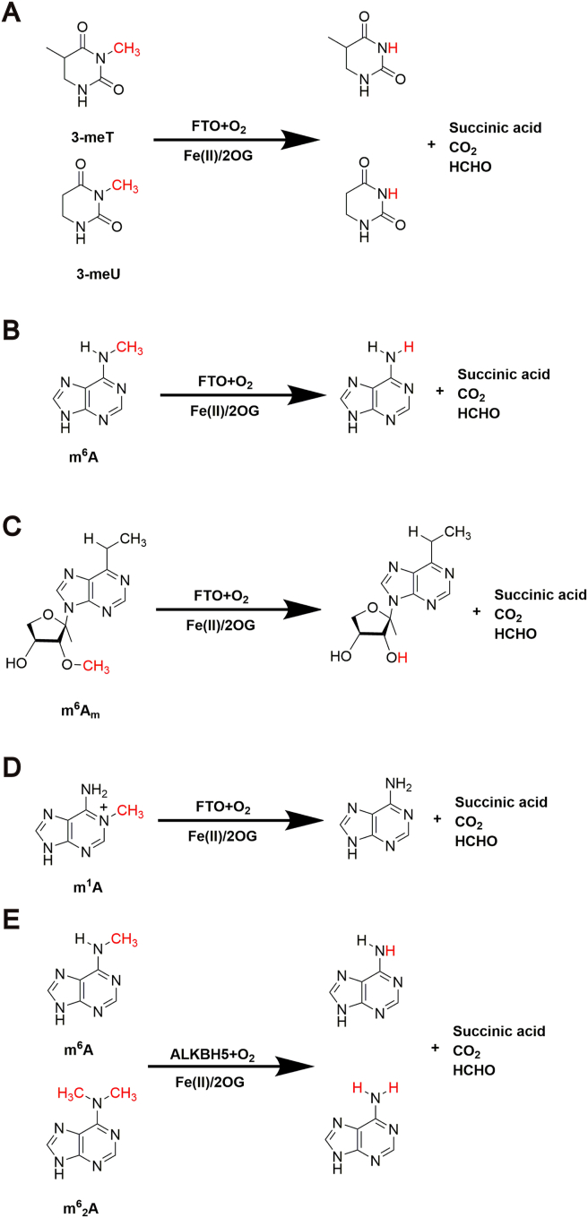 Figure 5