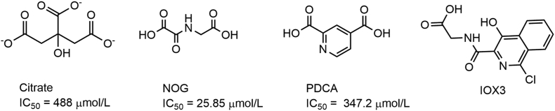 Figure 3