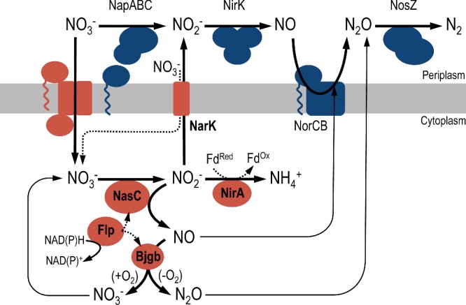 Figure 7