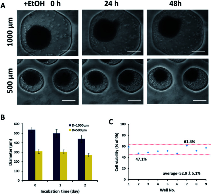 Fig. 7