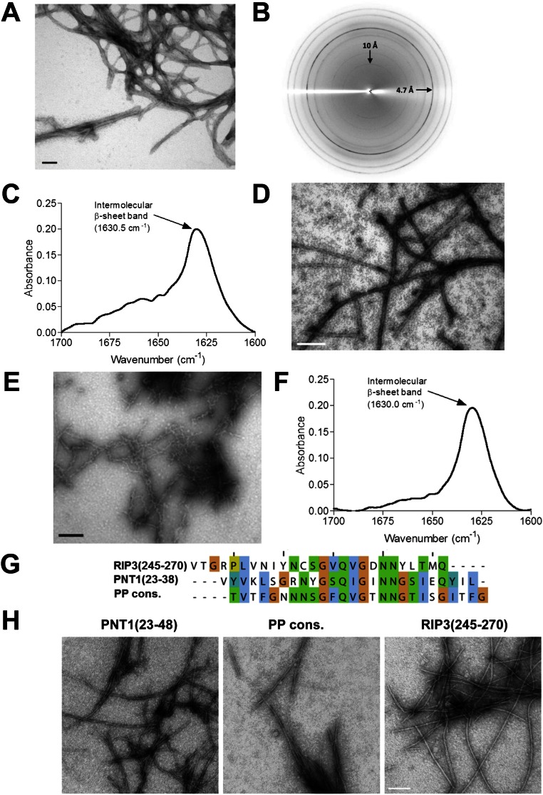 Fig. S4.