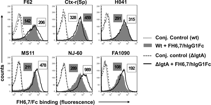 Figure 1.