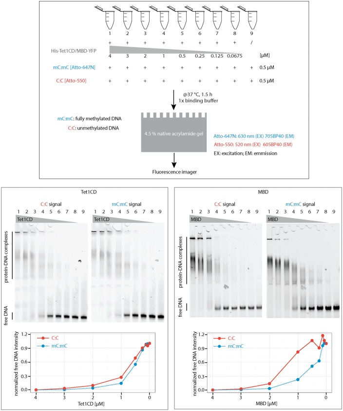 Figure 3: