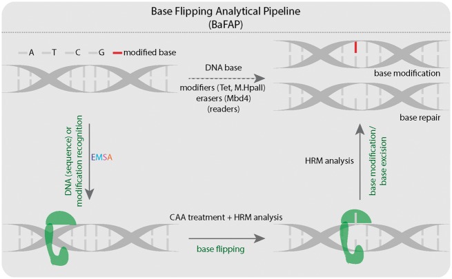 Figure 9: