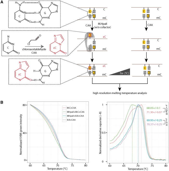 Figure 4: