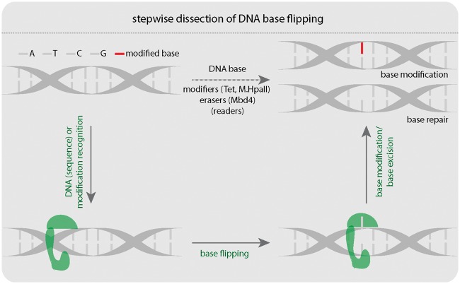 Figure 1: