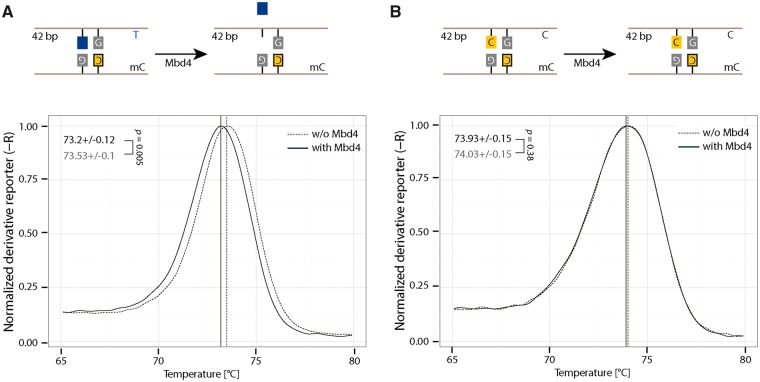 Figure 6: