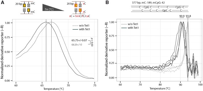 Figure 7: