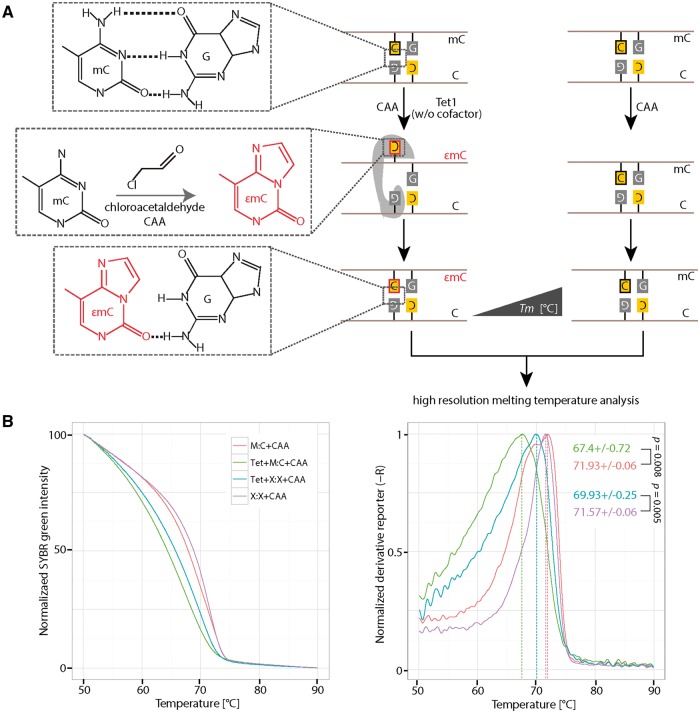 Figure 5: