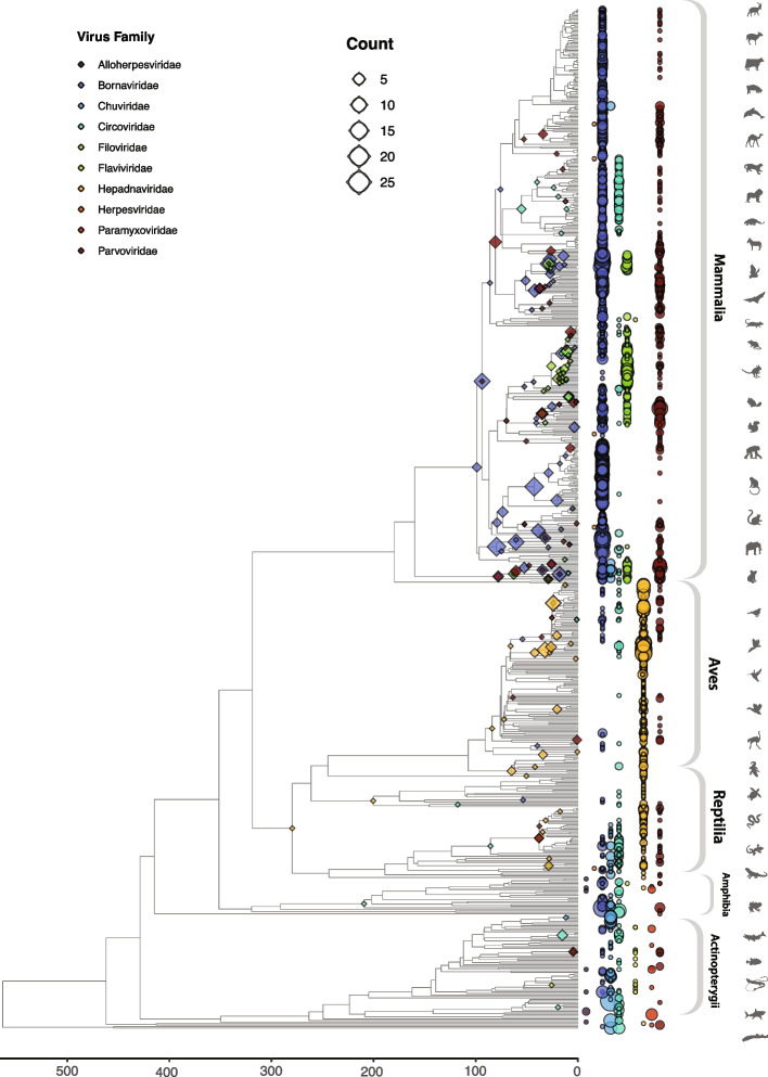 Fig. 7