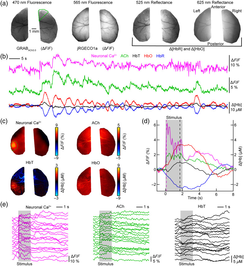 Fig. 2