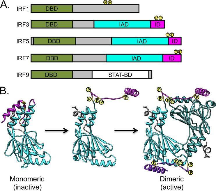 Fig 1