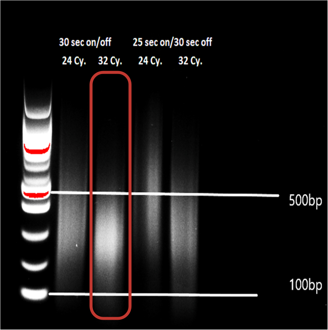 Figure 1