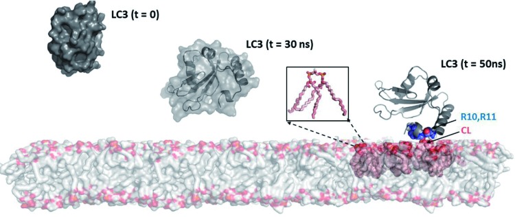 FIG. 3.