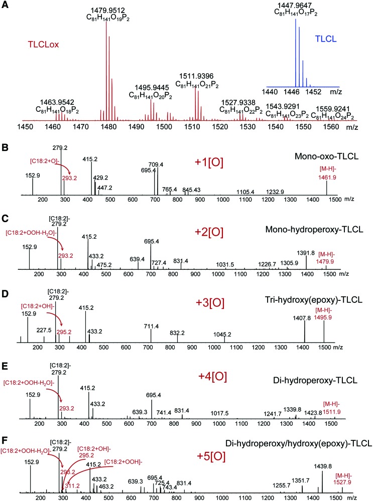 FIG. 7.