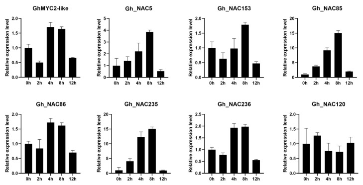 Figure 7