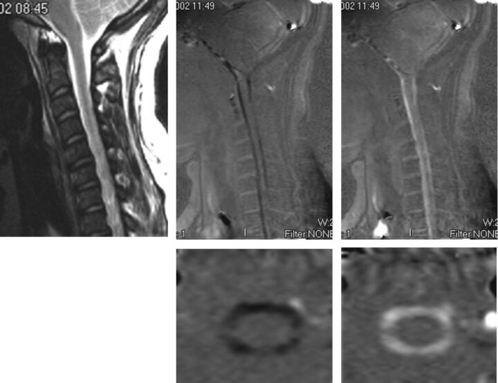 Fig 6.