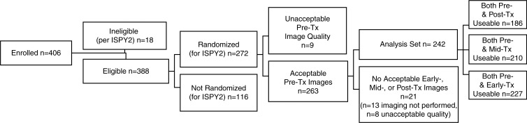 Figure 1b: