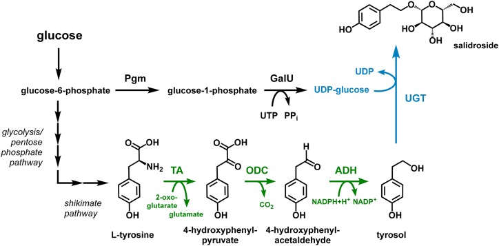 Figure 6.