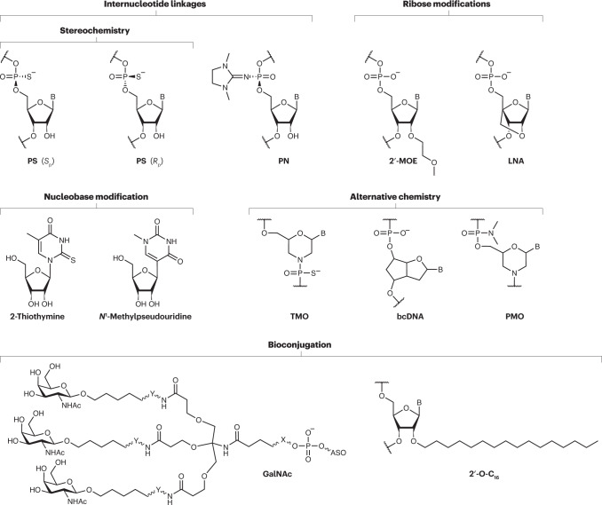 Box 2 Chemical modification of NBTs