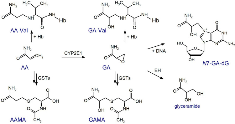 Fig. 1