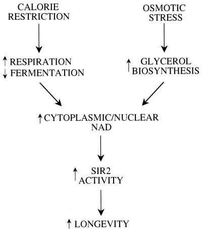 FIG. 8.