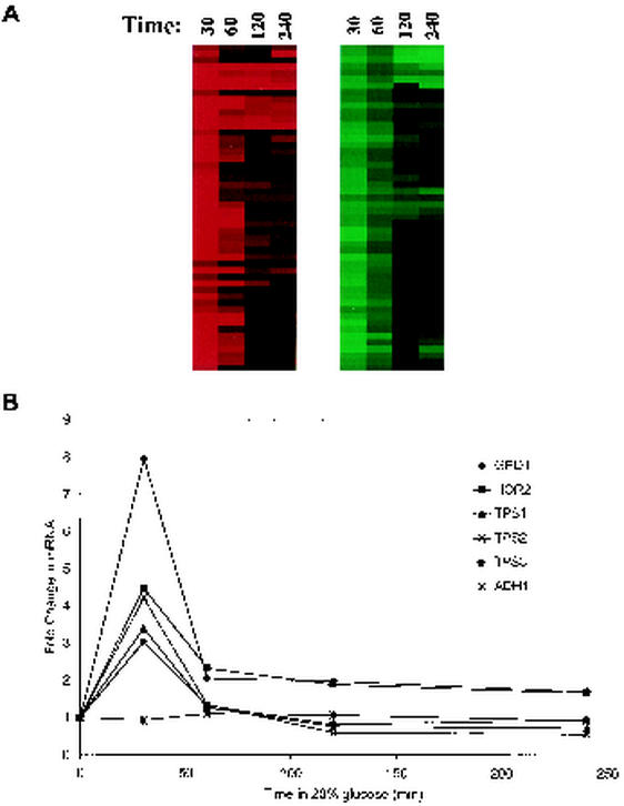 FIG. 6.