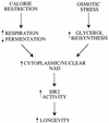 FIG. 8.