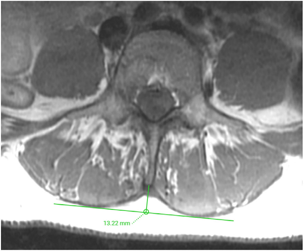 FIGURE 2: