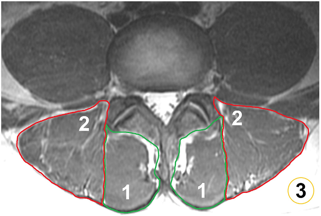 FIGURE 3: