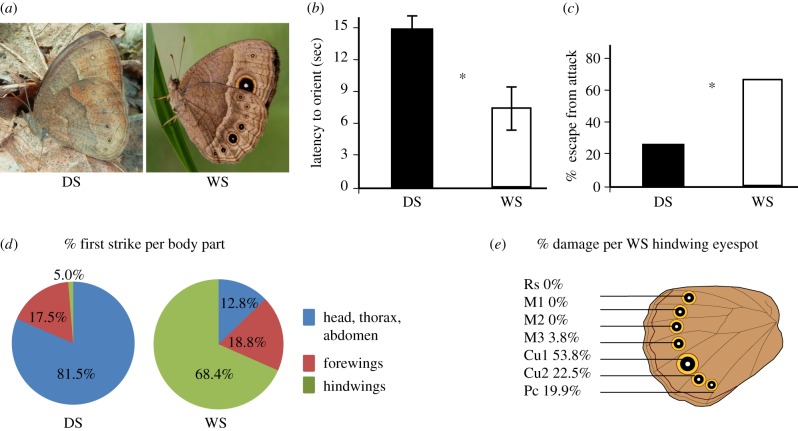 Figure 1.