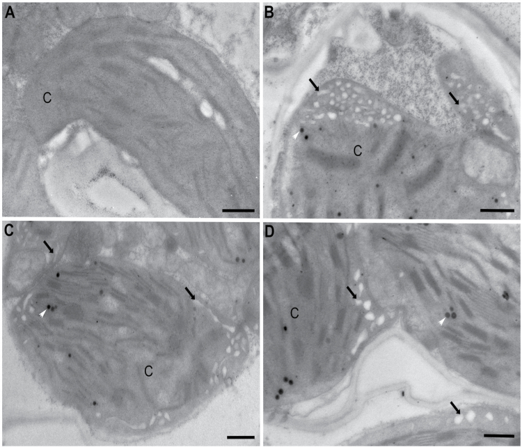 Fig. 5.