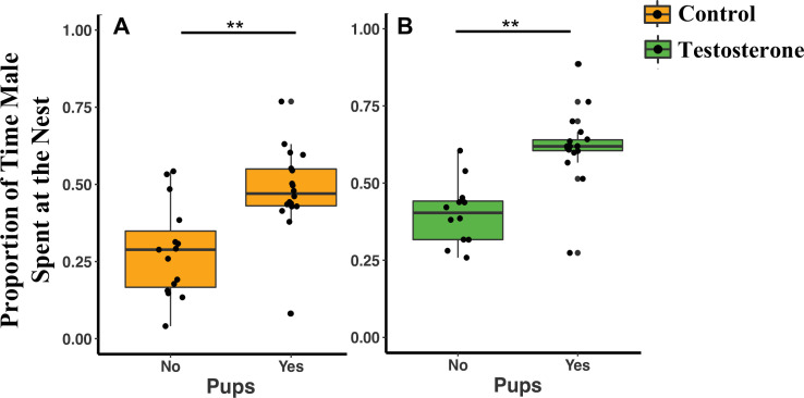 Figure 2—figure supplement 1.