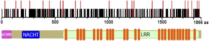 Fig. S4.