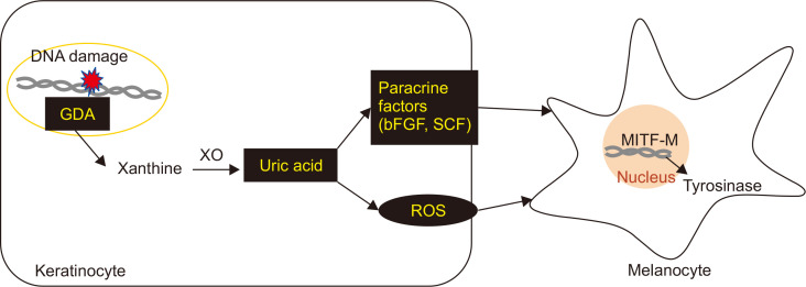 Fig. 5