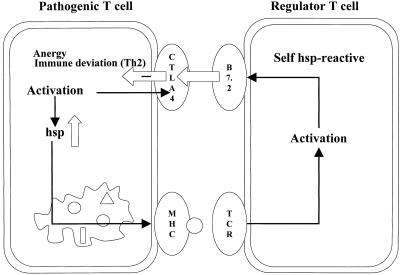 Fig 1. 