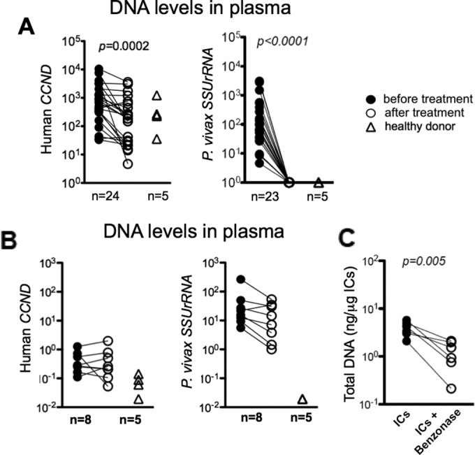 FIG 3 