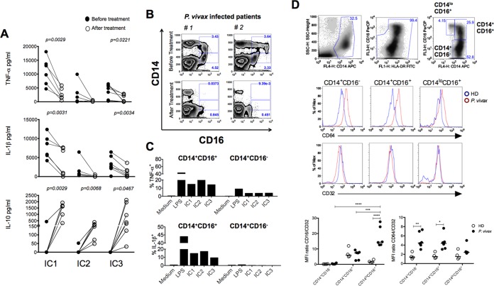 FIG 6 