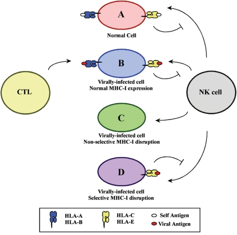 FIG. 4.