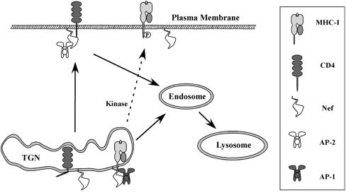 FIG. 8.